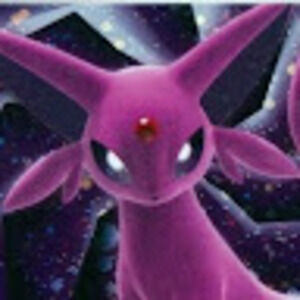 Meet your Posher, Frank